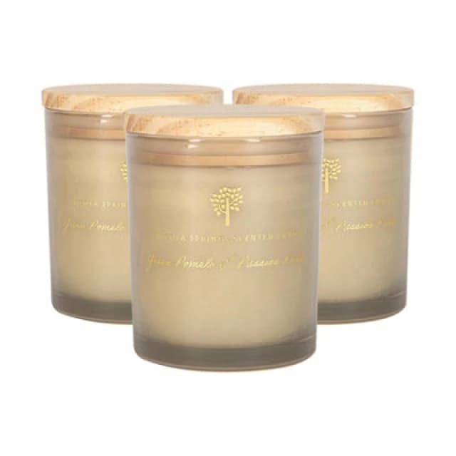 Nicola Spring Scented Candles - 130G - Green Pomelo & Passion Fruit - Pack Of 3 Fruity Fresh Scent Jarred Long Burn Fragrance Set