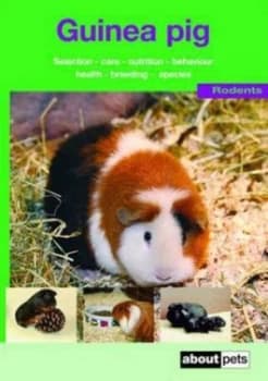 The Guinea Pig Paperback