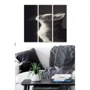 MDF3210439 Multicolor Decorative MDF Painting (3 Pieces)