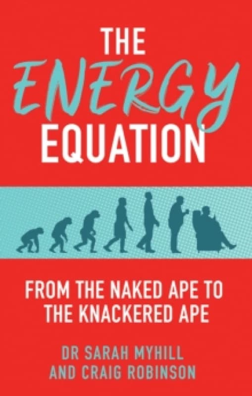 The Energy Equation : From the Naked Ape to the Knackered Ape Paperback / softback