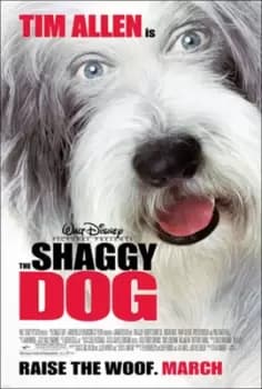 The Shaggy Dog (Ex-Rental) - DVD - Used