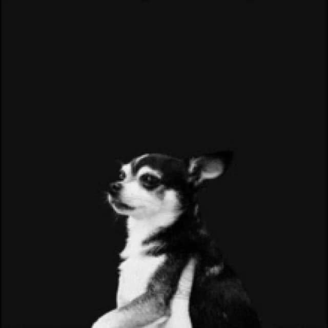 When This Life Is Over Vinyl