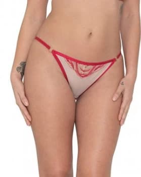 Scantilly Submission Brief