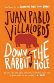 Down the Rabbit Hole by Juan Pablo Villalobos Paperback