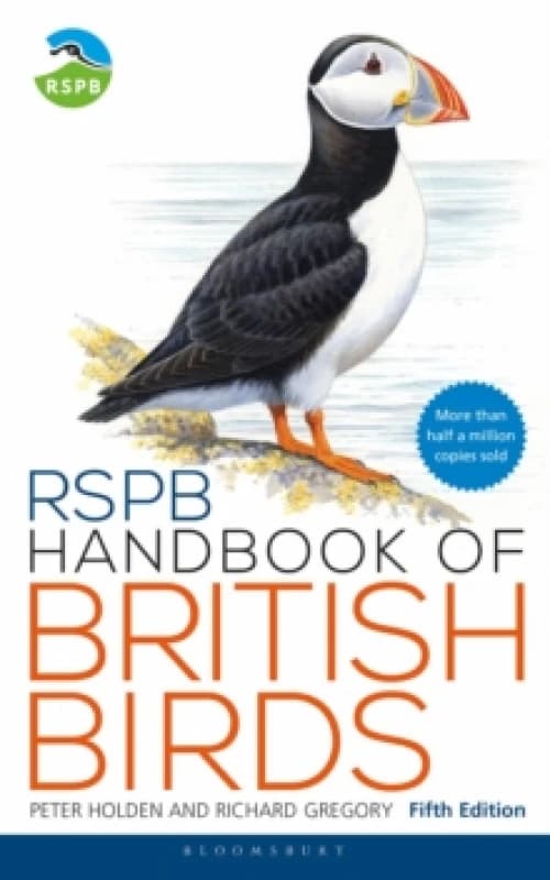 RSPB Handbook of British Birds : Fifth edition Paperback / softback