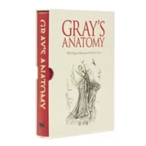 grays anatomy slip case edition