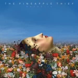 Magnolia by The Pineapple Thief CD Album