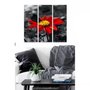 MDF3011397 Multicolor Decorative MDF Painting (3 Pieces)