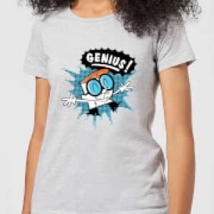 Dexters Lab Genius Womens T-Shirt - Grey - 3XL