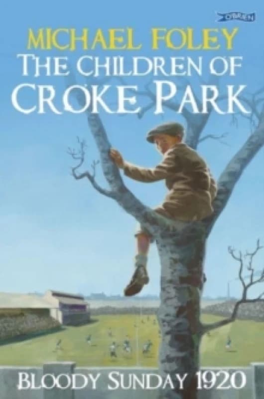 Michael Foley The Children of Croke Park Book Multi unisex