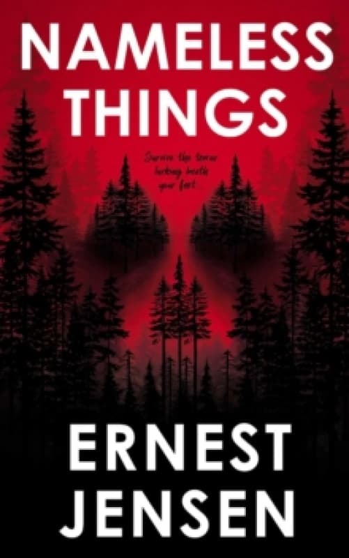 Nameless Things Paperback / softback