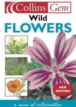 Wild Flowers by Martin Walters and David Hosking and Jean Hosking Book