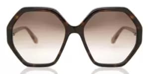 Chloe Sunglasses CH0008S 004