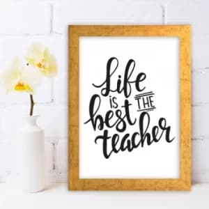 AC619156109249 Multicolor Decorative Framed MDF Painting