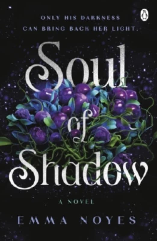 Soul of Shadow Paperback / softback