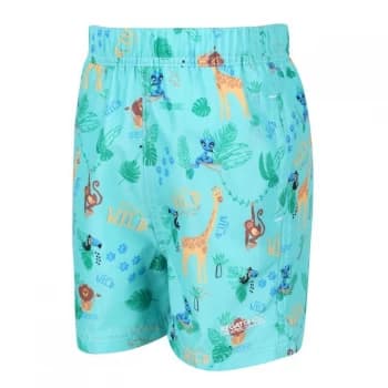 Regatta Skander II Swimming Shorts - TropMintJung