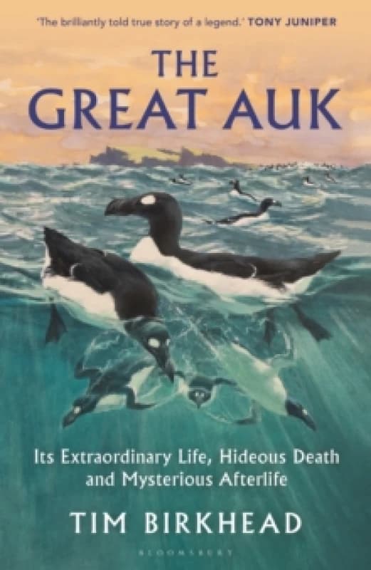 The Great Auk : Its Extraordinary Life, Hideous Death and Mysterious Afterlife - A DAILY TELEGRAPH BOOK OF THE YEAR Hardback