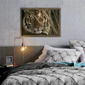 MZM775 Multicolor Decorative Framed MDF Painting