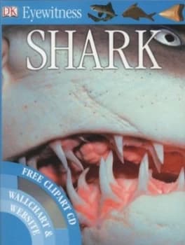 Shark by Miranda Macquitty Paperback