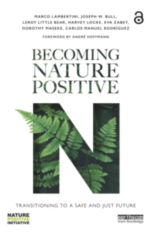 Becoming Nature Positive : Transitioning to a Safe and Just Future Paperback / softback