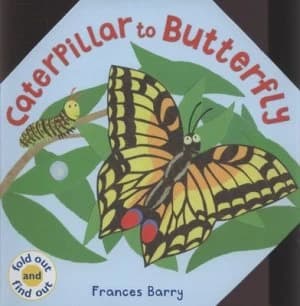 Caterpillar to Butterfly by Frances Barry Hardback