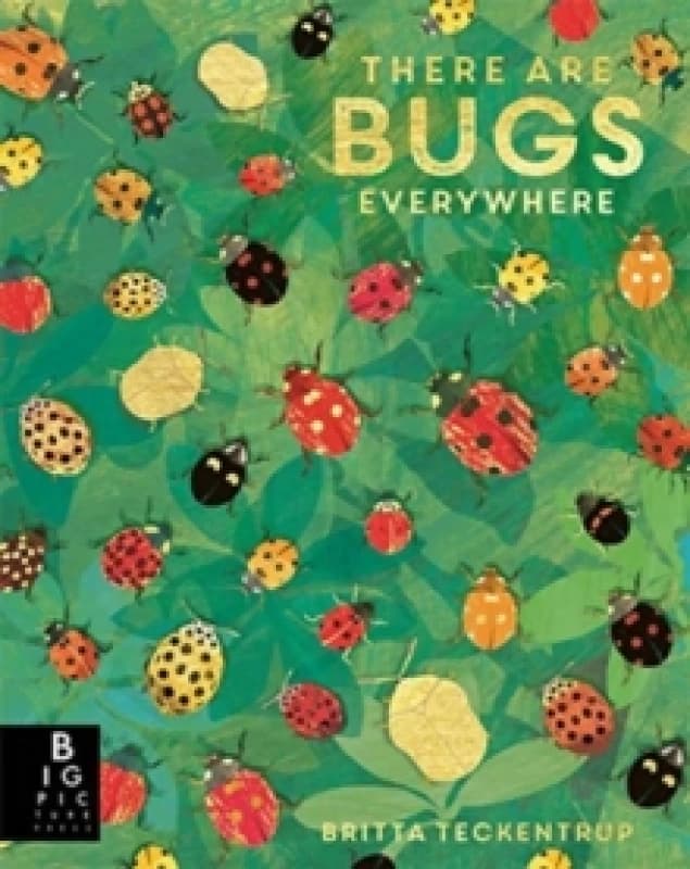 Lily Murray There are Bugs Everywhere Book Multi