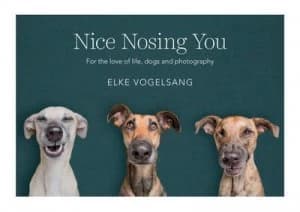 Nice Nosing You by Elke Vogelsang Hardback