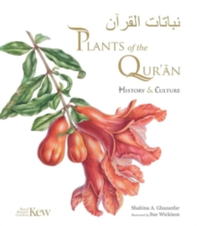 Plants of the Qur'an : History & culture Hardback