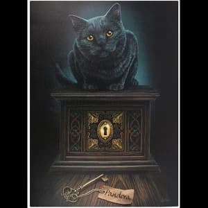 Large Pandora's Box Canvas Picture by Lisa Parker