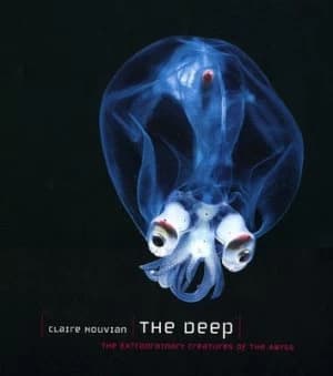 The Deep by Claire Nouvian Hardback