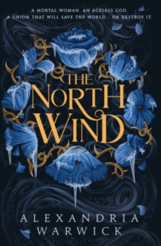 The North Wind : The TikTok sensation! An enthralling enemies-to-lovers romantasy, the first in the Four Winds series Volume 1 Paperback / softback