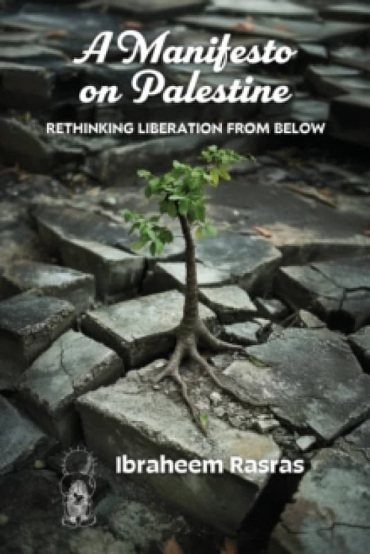 A Manifesto on Palestine: Rethinking Liberation from Below Paperback / softback