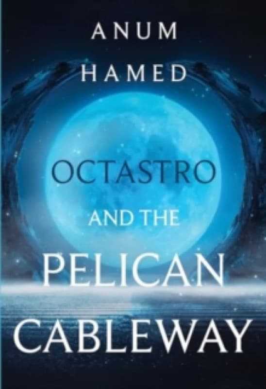 Octastro and the Pelican Cableway Paperback / softback
