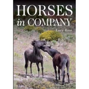 Horses in Company