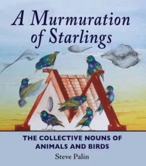 A Murmuration of Starlings by Steve Palin Hardback
