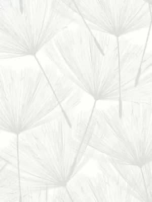 Arthouse Harmony Dandelion White/Silver Wallpaper