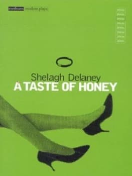 A Taste of Honey by Shelagh Delaney Paperback