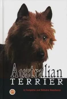 Australian terrier by Nell Fox