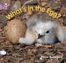 What's in the Egg? Band 00/Lilac