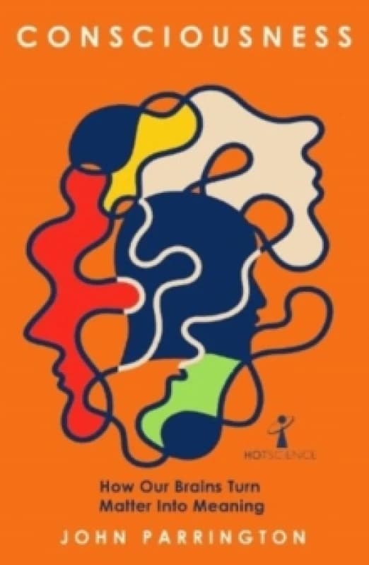 Consciousness : How Our Brains Turn Matter into Meaning Paperback / softback