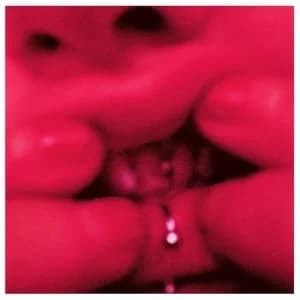 Guilty Species by Jessica93 CD Album