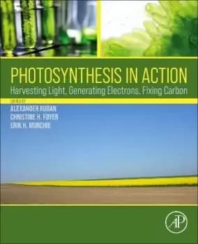 Photosynthesis in Action by Alexander Ruban