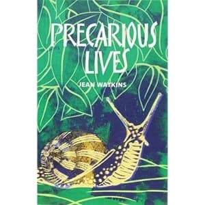 Precarious Lives Paperback / softback 2018
