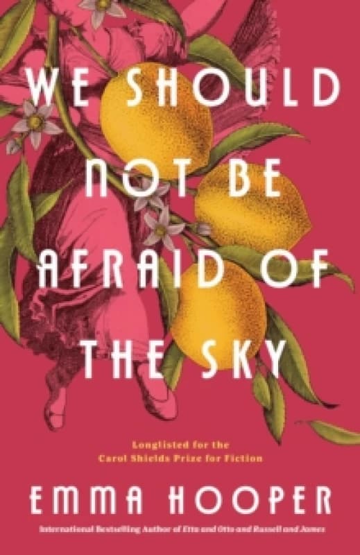 We Should Not Be Afraid of the Sky. Paperback. By Emma Hooper Books