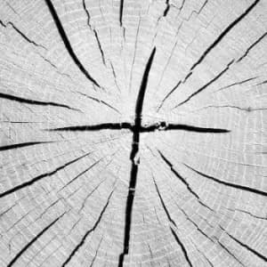 Thats Why by That's Why CD Album