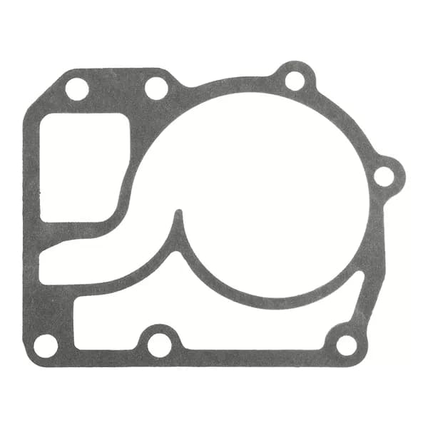 DT Spare Parts 1.24157 Gaskets Gasket,water pump (314)