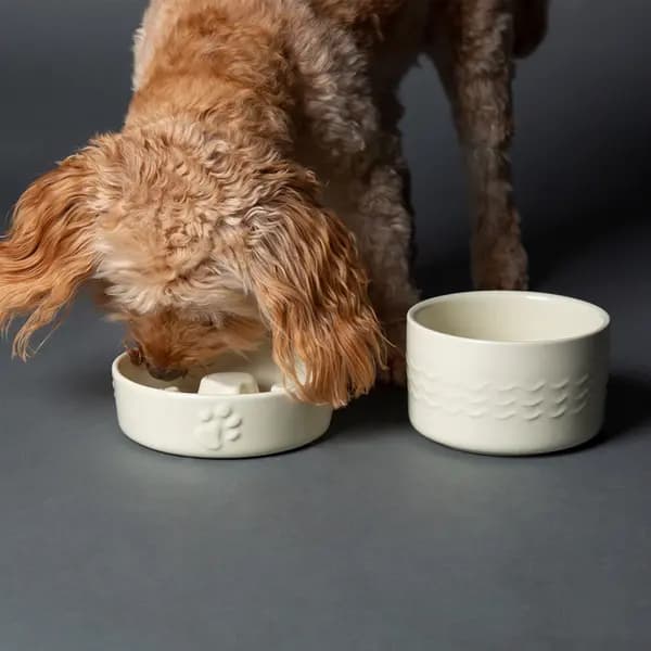 Scruffs Icon Slow Feeder and Drink Bowl Set Cream