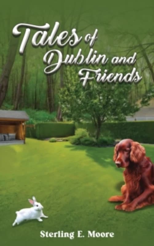 Tales of Dublin and Friends. Paperback. By Sterling E Moore Books