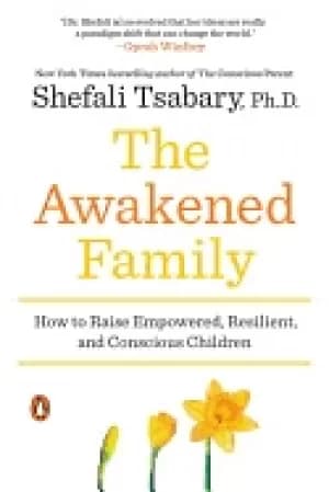 awakened family how to raise empowered resilient and conscious children