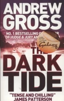The Dark Tide by Andrew Gross Paperback